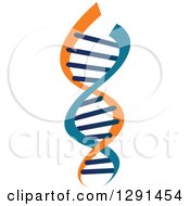 Clipart Of A Blue And Orange Dna Double Helix Cloning Strand Royalty Free Vector Illustration