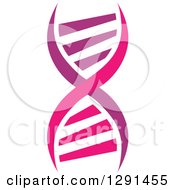 Clipart Of A Purple And Pink Dna Double Helix Cloning Strand Royalty Free Vector Illustration