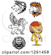 Male Lions In Black And White And Cartoon Styles