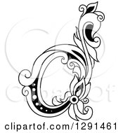 Black And White Vintage Lowercase Floral Letter D
