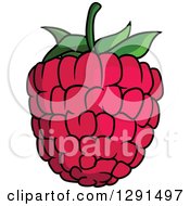 Clipart Of A Pink Raspberry Royalty Free Vector Illustration
