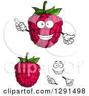 Clipart Of A Face Hands And Raspberries Royalty Free Vector Illustration