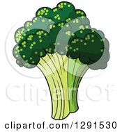 Clipart Of A Fresh Head Of Broccoli Royalty Free Vector Illustration
