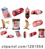 Poster, Art Print Of Cartoon Sausage Salami And Hot Dog Meat Products