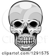 Grayscale Human Skull