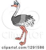 Poster, Art Print Of Cartoon Happy Blue Eyed Ostrich Bird