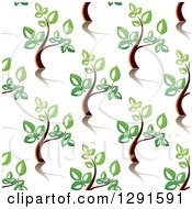 Clipart Of A Seamless Background Pattern Of Young Trees Royalty Free Vector Illustration
