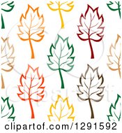 Poster, Art Print Of Seamless Pattern Background Of Colorful Leaves