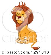 Poster, Art Print Of Sitting Angry Male Lion