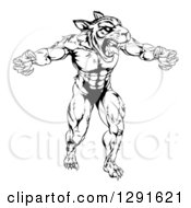 Poster, Art Print Of Black And White Vicious Muscular Tiger Man Attacking