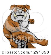 Poster, Art Print Of Vicious Muscular Bulldog Man Punching