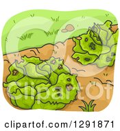 Clipart Of Diseased Cabbages In A Garden Royalty Free Vector Illustration