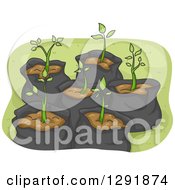 Poster, Art Print Of Sapling Plants In Garbage Bags