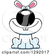 Cartoon Happy White Rabbit Sitting