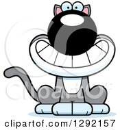 Poster, Art Print Of Cartoon Happy Gray And White Cat Grinning