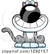 Clipart Of A Cartoon Happy Gray And White Cat Grinning Royalty Free Vector Illustration