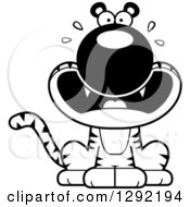 Wild Animal Clipart Of A Black And White Cartoon Scared Screaming Sitting Tiger Big Cat Royalty Free Lineart Vector Illustration
