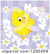 Poster, Art Print Of Happy Easter Greeting Butterfly And Daisies Around A Yellow Chick On Purple Checkers