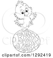 Poster, Art Print Of Happy Black And White Easter Chick Balancing On A Decorated Egg