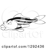 Poster, Art Print Of Black And White Striped Fish With Big Lips