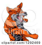 Clipart Of A Muscular Fox Man Mascot Punching From The Hips Up Royalty Free Vector Illustration