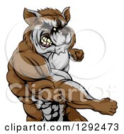 Poster, Art Print Of Muscular Raccoon Man Mascot Punching From The Hips Up