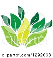 Poster, Art Print Of Group Of Green Leaves