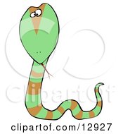 Green Snake With Brown Stripes Clipart Illustration
