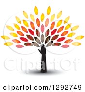 Poster, Art Print Of Hand And Arm With A Shadow Forming The Trunk Of A Tree With Colorful Autumn Leaves