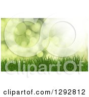 Poster, Art Print Of 3d Green Background With Grass Over Flares