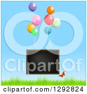 Floating Blackboard With Helium Party Balloons And Butterfly Over Grass And Blue Sky