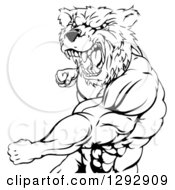 Poster, Art Print Of Black And White Roaring Angry Muscular Bear Man Punching