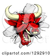 Clipart Of A Vicious Snarling Aggressive Red Bull Breaking Through A Wall Royalty Free Vector Illustration