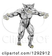 Poster, Art Print Of Muscular Aggressive Gray Wolf Man Attacking With Claws Out