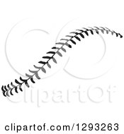 Poster, Art Print Of Horizontal Black And White Baseball Stitching
