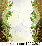 Poster, Art Print Of St Patricks Day Background With Shamrocks Clover Flowers Lattice And Ladybugs