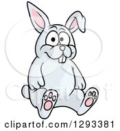 Clipart Of A Sitting Happy Rabbit Royalty Free Vector Illustration