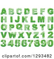 Poster, Art Print Of Grassy Green Capital Alphabet Letters And Numbers