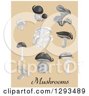 Poster, Art Print Of Grayscale Champignon Cep Boletus Chanterelle Oyster Agaric Mushrooms On Tan