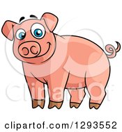 Poster, Art Print Of Cartoon Alert Happy Blue Eyed Pink Pig