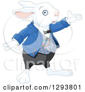 Poster, Art Print Of White Rabbit Presenting To The Right