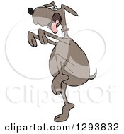 Clipart Of A Brown Dog In A Karate Crane Stance Royalty Free Vector Illustration by djart