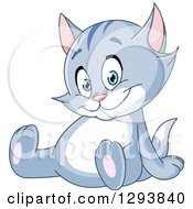Poster, Art Print Of Happy Blue Kitten Or Cat Sitting And Leaning Back