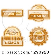 Set Of Lemon Fruit Flavor Labels