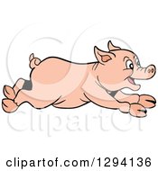 Poster, Art Print Of Cartoon Happy Pig Running To The Right