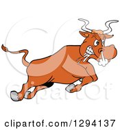 Poster, Art Print Of Cartoon Angry Bull Steer Drooling And Charging