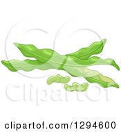 Poster, Art Print Of Fresh Lima Beans And Pods