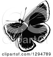 Poster, Art Print Of Black And White Butterfly And Gray Shadow From Above