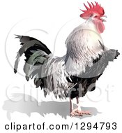 Clipart Of A 3d Rooster Facing Right Royalty Free Vector Illustration by dero