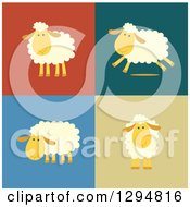 Poster, Art Print Of Happy Sheep Standing And Running On Different Colored Backgrounds